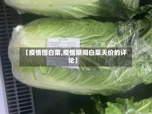 【疫情囤白菜,疫情期间白菜天价的评论】-第3张图片