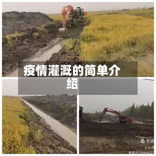 疫情灌溉的简单介绍