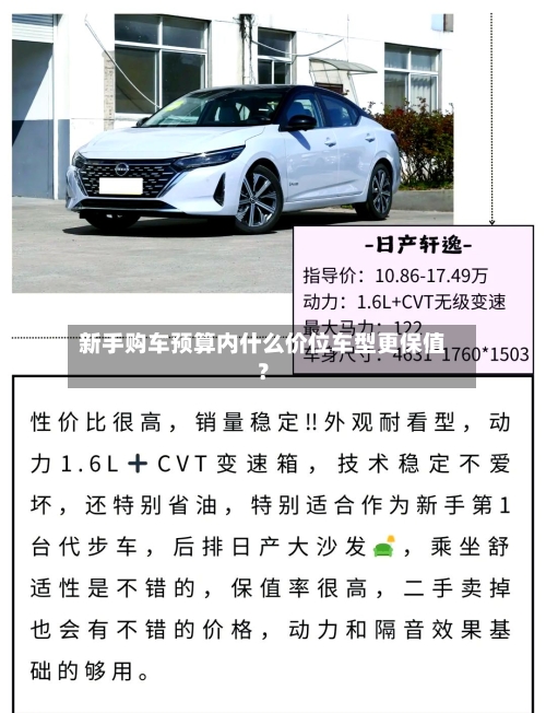 新手购车预算内什么价位车型更保值?-第2张图片