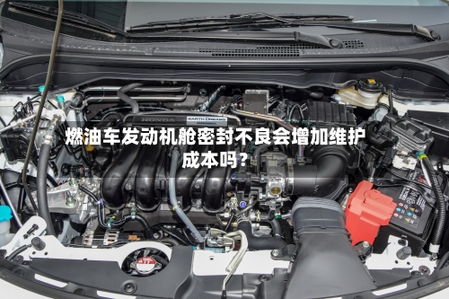 燃油车发动机舱密封不良会增加维护成本吗?-第3张图片