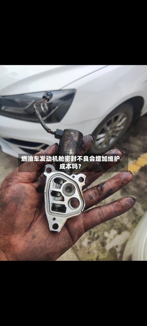燃油车发动机舱密封不良会增加维护成本吗?-第2张图片