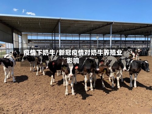 疫情下奶牛/新冠疫情对奶牛养殖业影响-第2张图片