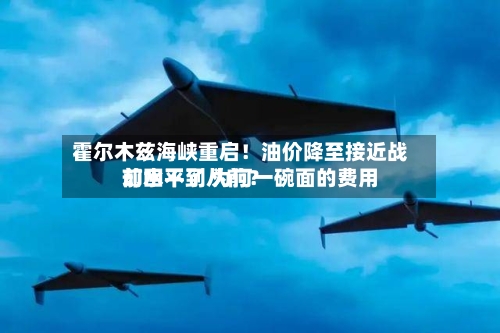 霍尔木兹海峡重启!油价降至接近战前水平了 为何一碗面的费用
却回不到从前?-第2张图片