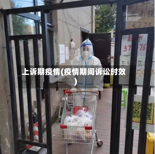 上诉期疫情(疫情期间诉讼时效)