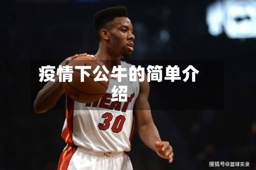 疫情下公牛的简单介绍