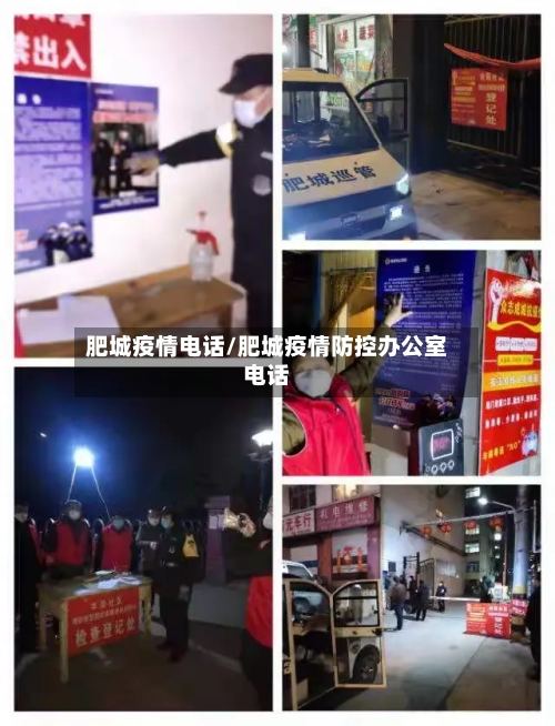 肥城疫情电话/肥城疫情防控办公室电话-第2张图片