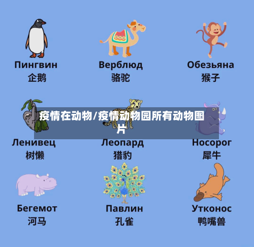 疫情在动物/疫情动物园所有动物图片