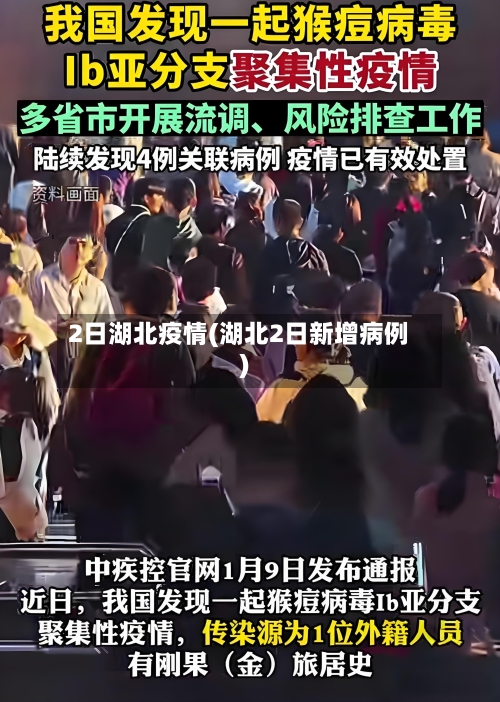 2日湖北疫情(湖北2日新增病例)-第3张图片