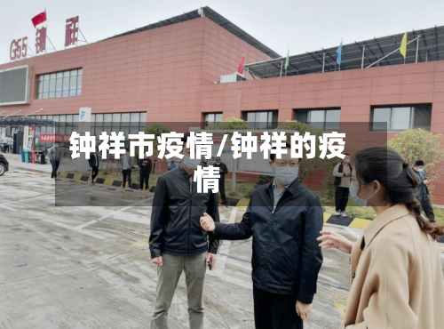 钟祥市疫情/钟祥的疫情-第3张图片