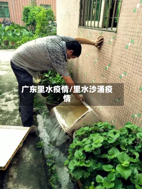 广东里水疫情/里水沙涌疫情-第2张图片
