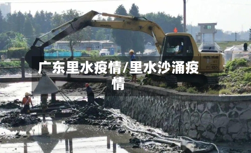 广东里水疫情/里水沙涌疫情