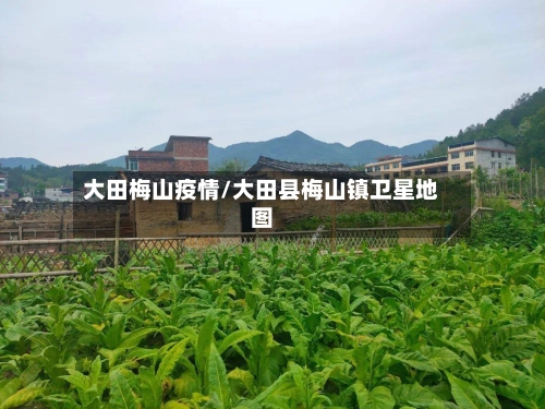 大田梅山疫情/大田县梅山镇卫星地图-第2张图片