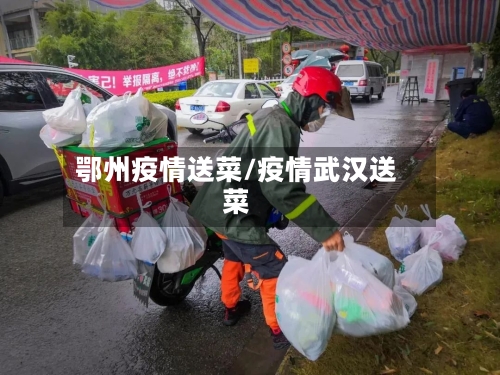 鄂州疫情送菜/疫情武汉送菜