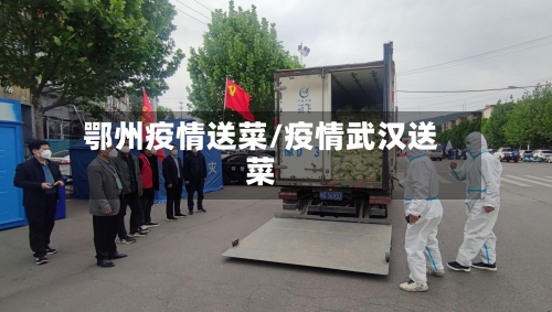 鄂州疫情送菜/疫情武汉送菜-第2张图片
