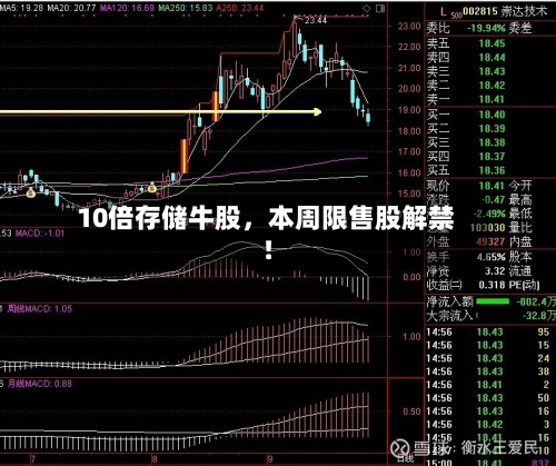 10倍存储牛股，本周限售股解禁！-第2张图片