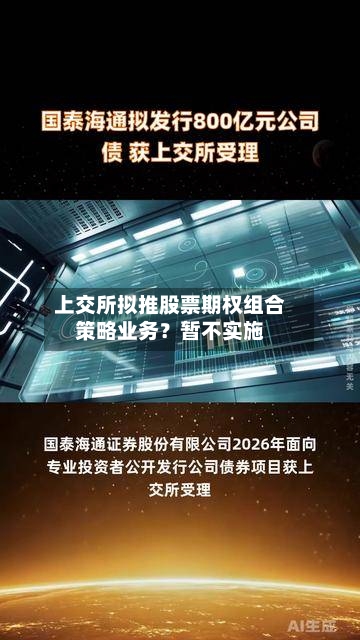 上交所拟推股票期权组合策略业务?暂不实施-第1张图片