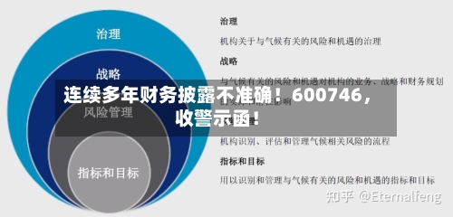连续多年财务披露不准确！600746，收警示函！