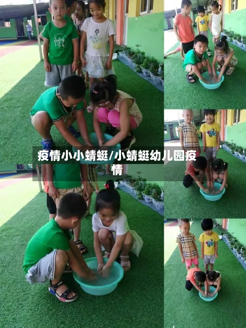 疫情小小蜻蜓/小蜻蜓幼儿园疫情-第3张图片