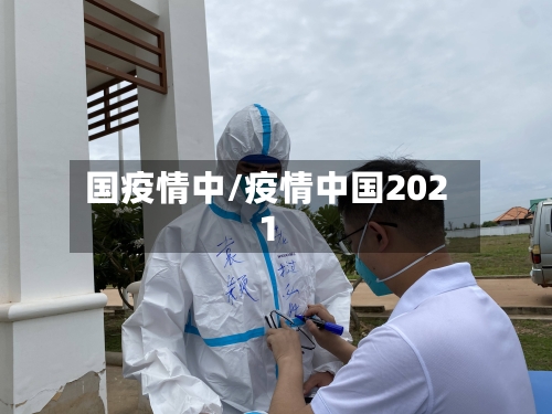 国疫情中/疫情中国2021