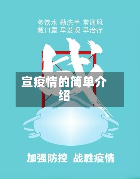 宣疫情的简单介绍