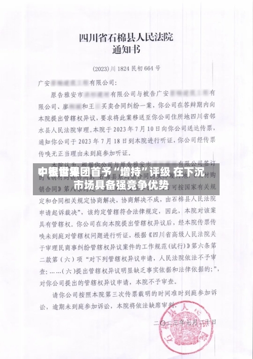 中银世界：蜜雪集团首予“增持”评级 在下沉市场具备强竞争优势-第1张图片