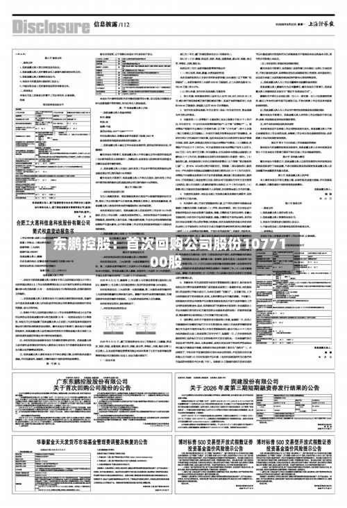 东鹏控股：首次回购公司股份1077100股-第2张图片
