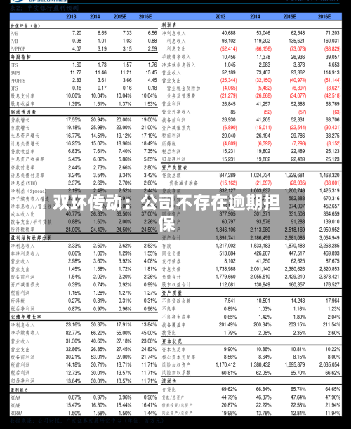 双环传动:公司不存在逾期担保-第2张图片