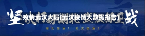 疫情武汉大局(武汉疫情大数据报告)-第3张图片