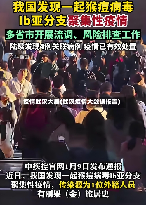 疫情武汉大局(武汉疫情大数据报告)