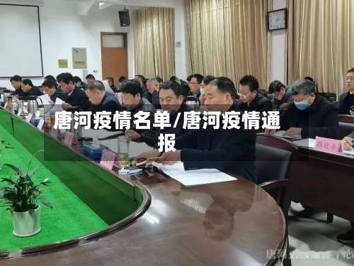 唐河疫情名单/唐河疫情通报-第2张图片