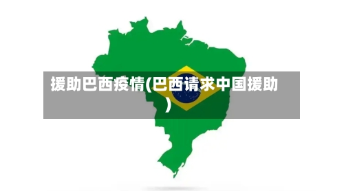 援助巴西疫情(巴西请求中国援助)-第2张图片