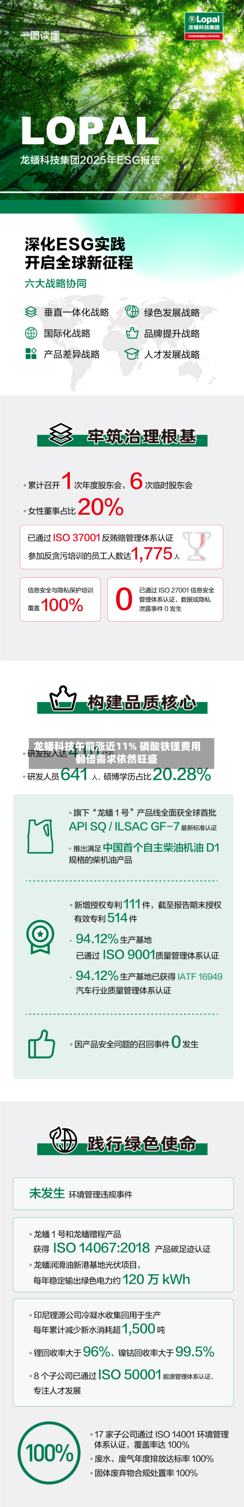 龙蟠科技午前涨近11% 磷酸铁锂费用翻倍需求依然旺盛-第2张图片