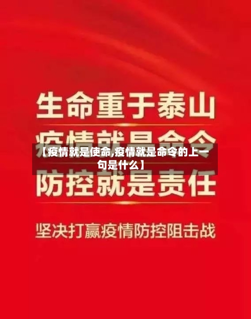 【疫情就是使命,疫情就是命令的上一句是什么】