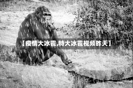【疫情大冰雹,特大冰雹视频昨天】