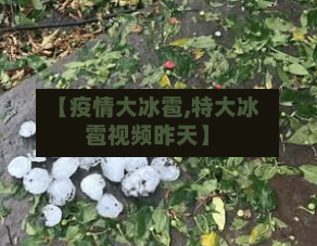 【疫情大冰雹,特大冰雹视频昨天】-第2张图片