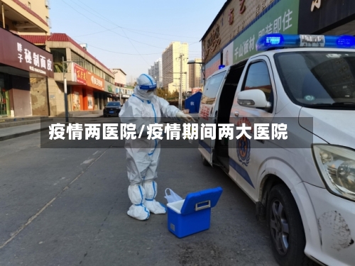 疫情两医院/疫情期间两大医院-第3张图片