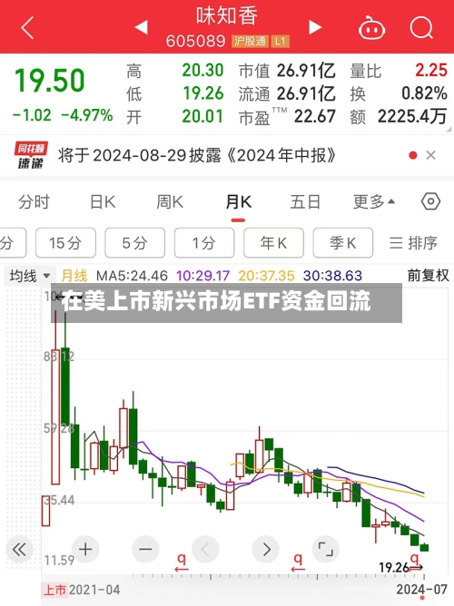在美上市新兴市场ETF资金回流-第2张图片