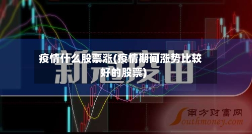 疫情什么股票涨(疫情期间涨势比较好的股票)-第3张图片