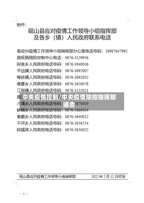 中央疫情控制/中央疫情防控指挥部通告