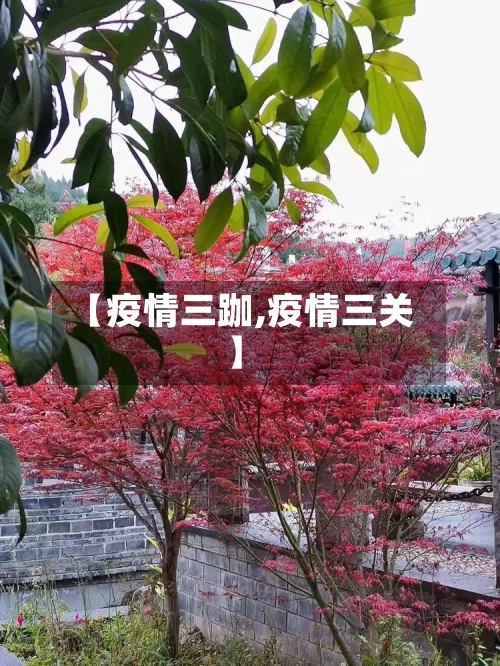 【疫情三跏,疫情三关】-第3张图片