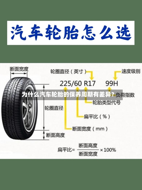 为什么汽车轮胎的保养周期有差异？