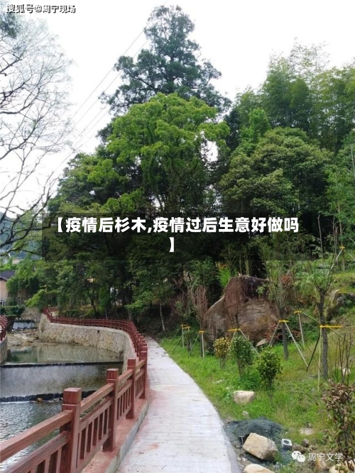 【疫情后杉木,疫情过后生意好做吗】-第2张图片