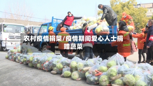农村疫情捐菜/疫情期间爱心人士捐赠蔬菜