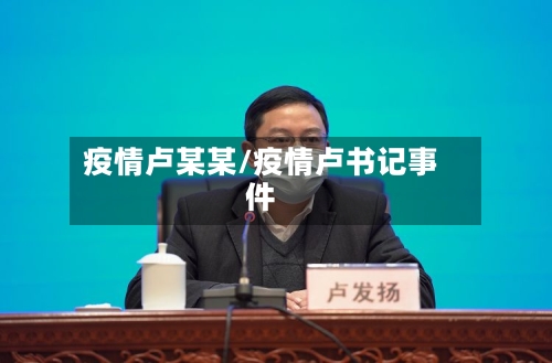 疫情卢某某/疫情卢书记事件