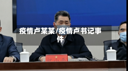 疫情卢某某/疫情卢书记事件-第2张图片