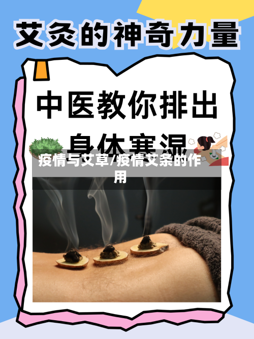 疫情与艾草/疫情艾条的作用