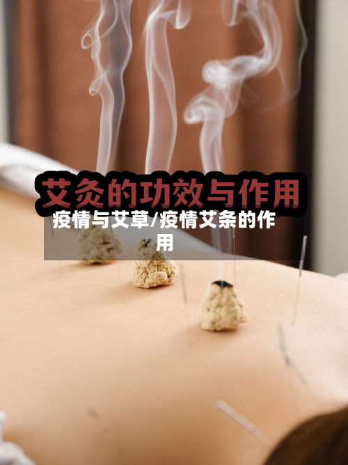 疫情与艾草/疫情艾条的作用-第2张图片