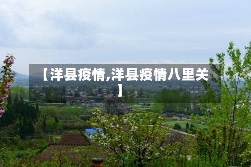 【洋县疫情,洋县疫情八里关】