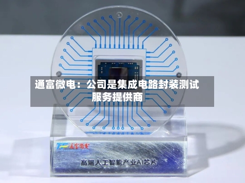 通富微电：公司是集成电路封装测试服务提供商