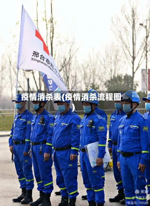 疫情消杀表(疫情消杀流程图)